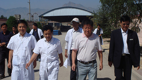 9月11日，自治区政府主席助理屈冬玉一行调研指导信旺牧场工作。