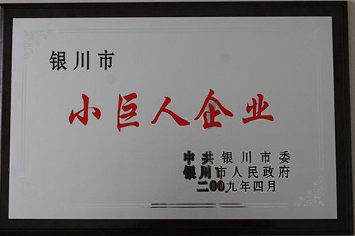 6月17日，一汽丰田银川上陵店被银川市委、市政府命名为“小巨人企业”。