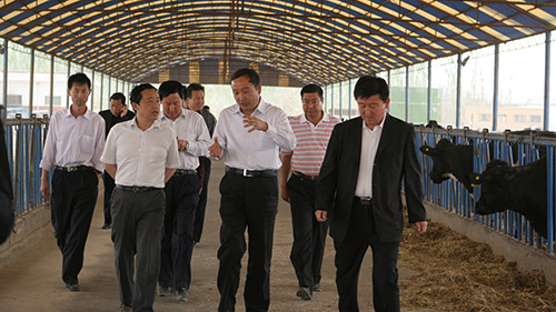 5月7日，自治区政府主席助理屈冬玉调研指导信旺牧场工作。