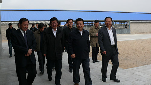 10月26日，银川市委副书记、市长王儒贵一行调研指导翔达牧场工作。