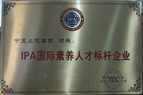 2月2日，亚娱体育官方网站(中国)有限公司荣获IPA国际认证协会颁发的“IPA国际素养人才标杆企业”称号。该荣誉是从2014年度325家企业客户中评选出来的，全国共有4家企业获得。